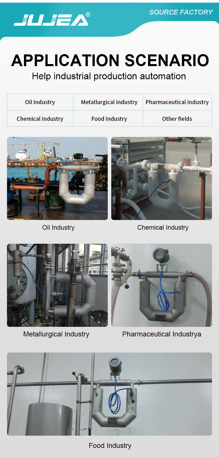 coriolis flow meter application scenario